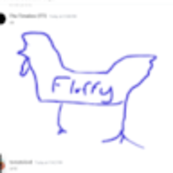 bluechicken262